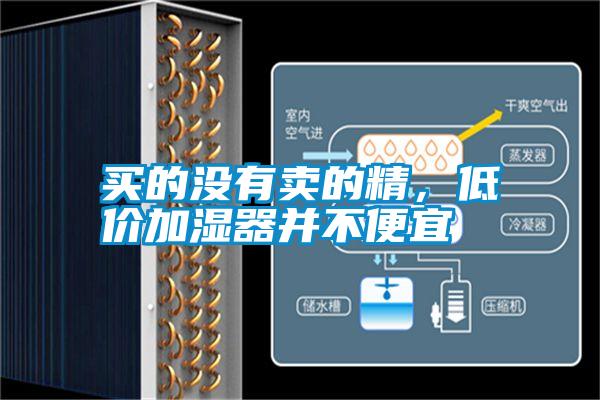 買的沒有賣的精，低價加濕器并不便宜