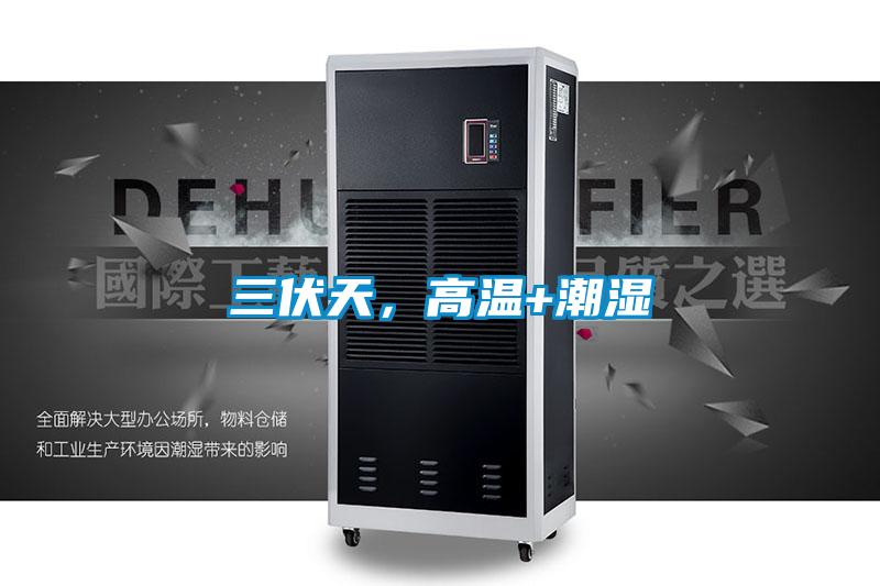 三伏天，高溫+潮濕