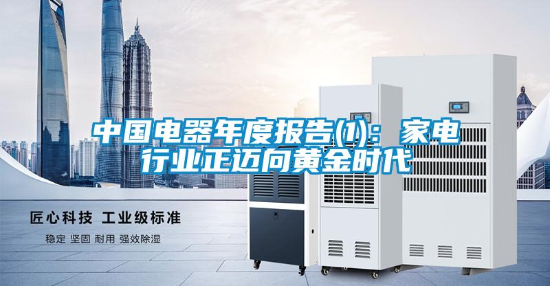 中國電器年度報告(1):家電行業(yè)正邁向黃金時代