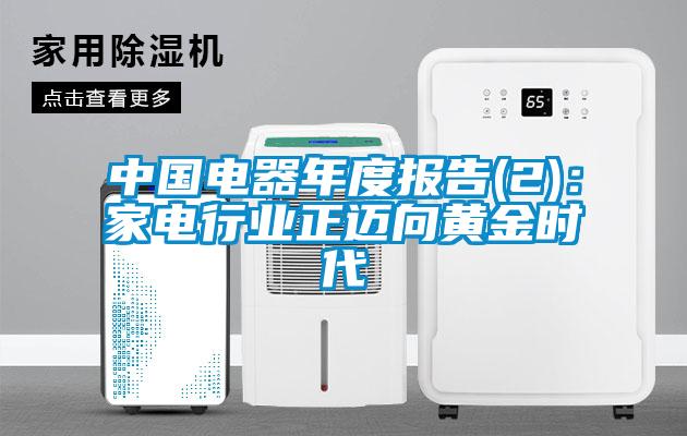 中國(guó)電器年度報(bào)告(2):家電行業(yè)正邁向黃金時(shí)代