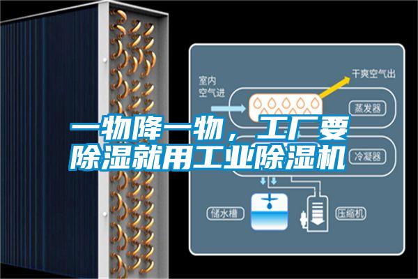 一物降一物，工廠要除濕就用工業(yè)除濕機