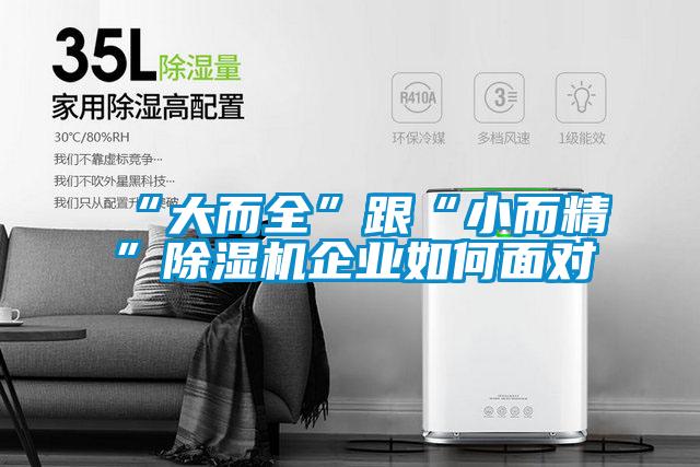 “大而全”跟“小而精”除濕機(jī)企業(yè)如何面對