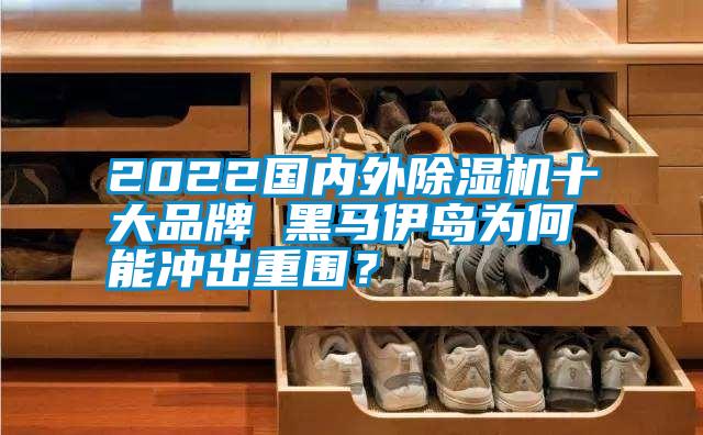 2022國內(nèi)外除濕機(jī)十大品牌 黑馬伊島為何能沖出重圍？