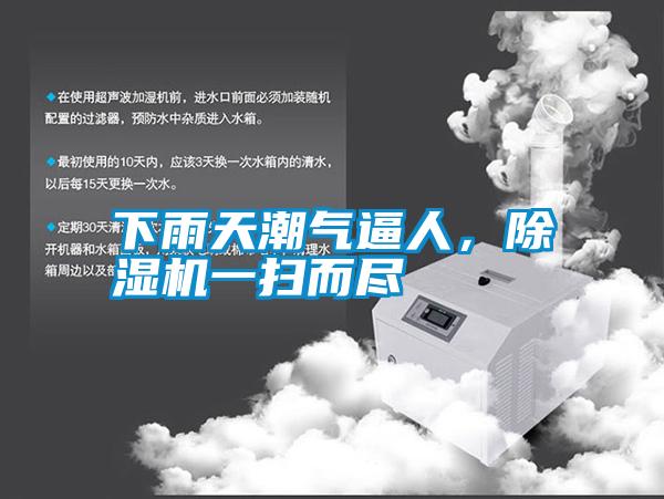 下雨天潮氣逼人，除濕機一掃而盡