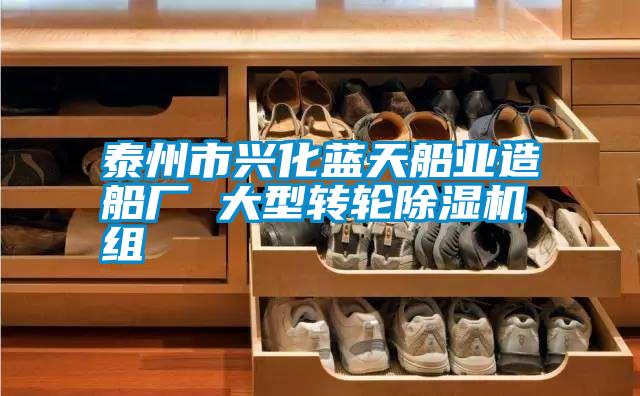泰州市興化藍天船業(yè)造船廠 大型轉(zhuǎn)輪除濕機組