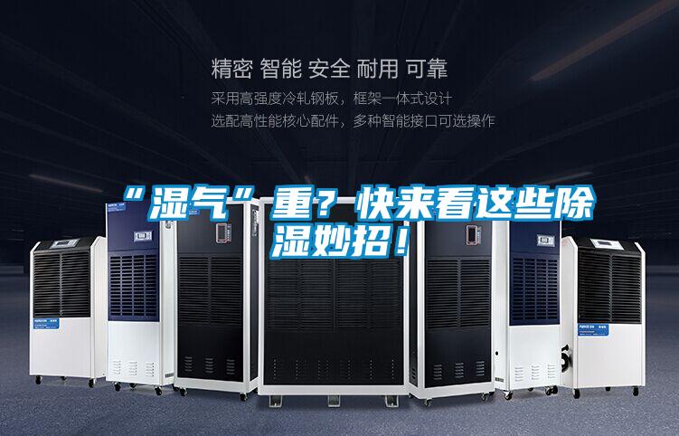 “濕氣”重？快來看這些除濕妙招！