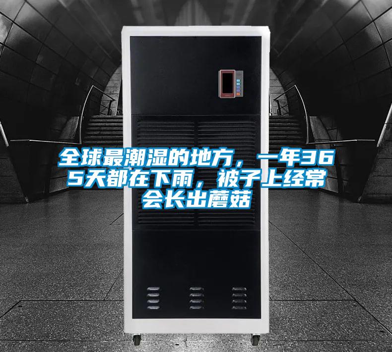全球最潮濕的地方，一年365天都在下雨，被子上經(jīng)常會長出蘑菇