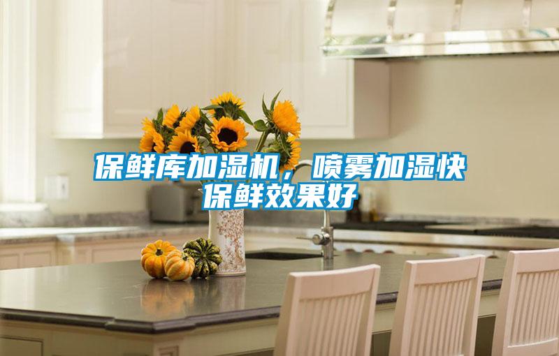 保鮮庫加濕機，噴霧加濕快保鮮效果好