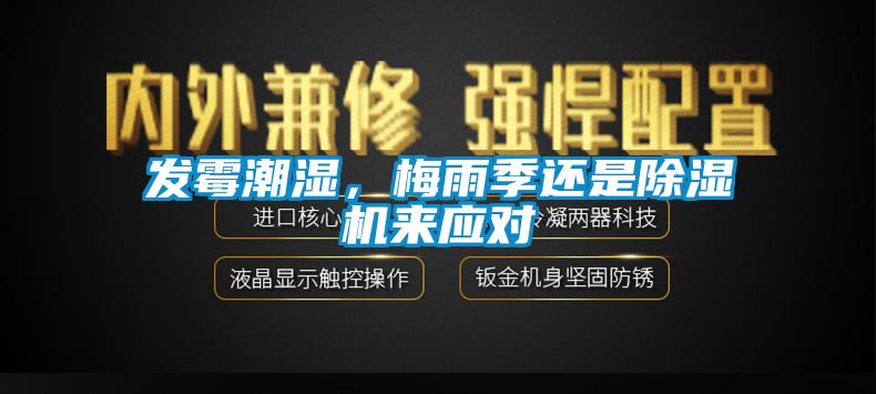 發(fā)霉潮濕，梅雨季還是除濕機(jī)來應(yīng)對(duì)