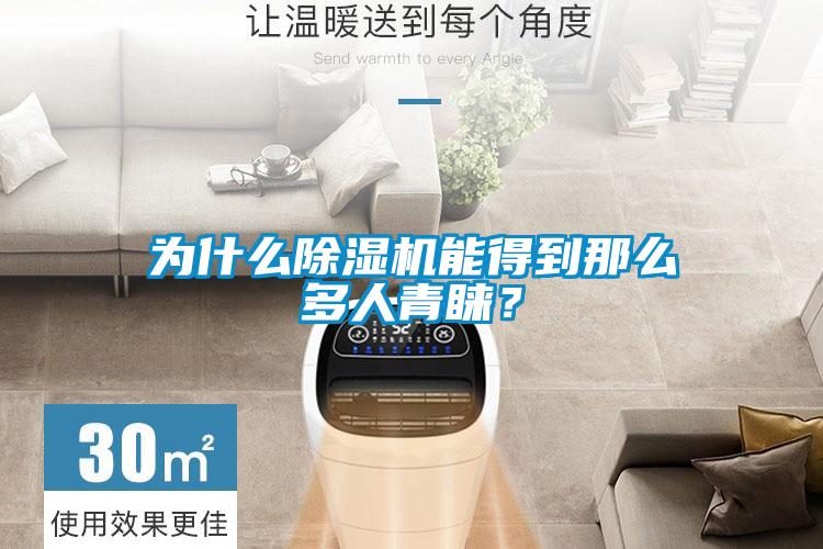 為什么除濕機能得到那么多人青睞？