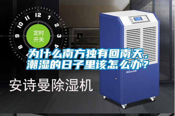 為什么南方獨(dú)有回南天，潮濕的日子里該怎么辦？