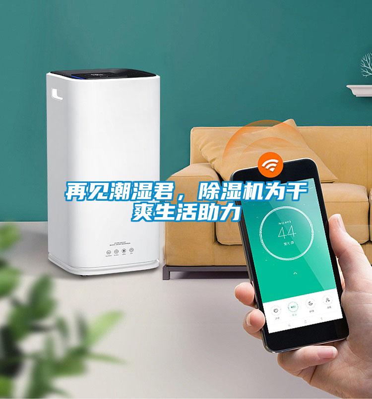 再見潮濕君，除濕機為干爽生活助力