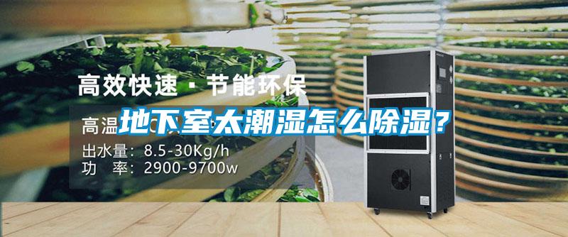 地下室太潮濕怎么除濕？