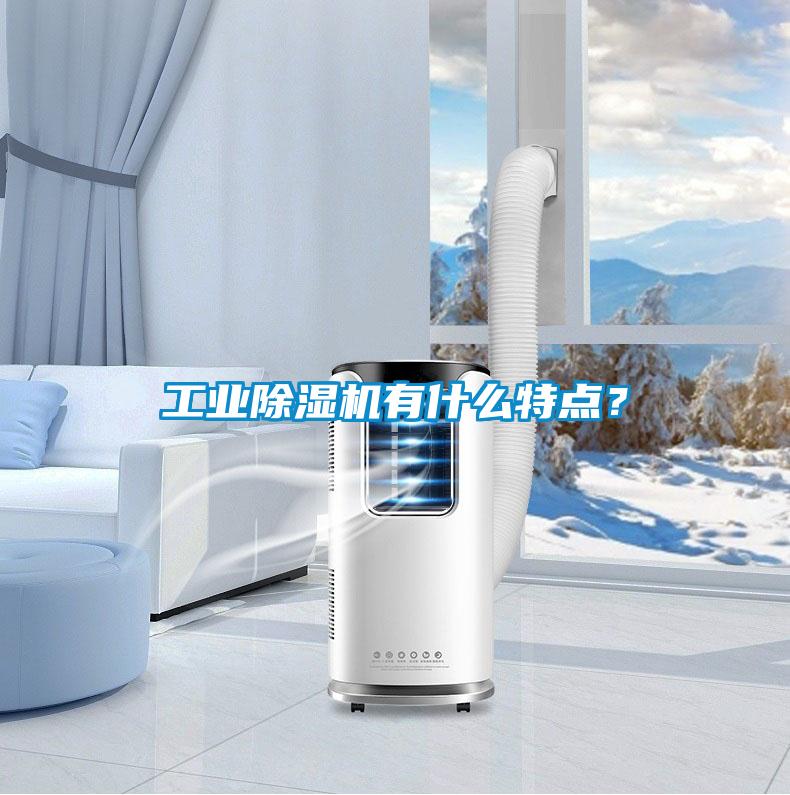 工業(yè)除濕機有什么特點？