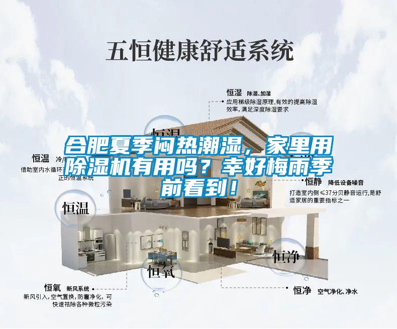 合肥夏季悶熱潮濕，家里用除濕機有用嗎？幸好梅雨季前看到！