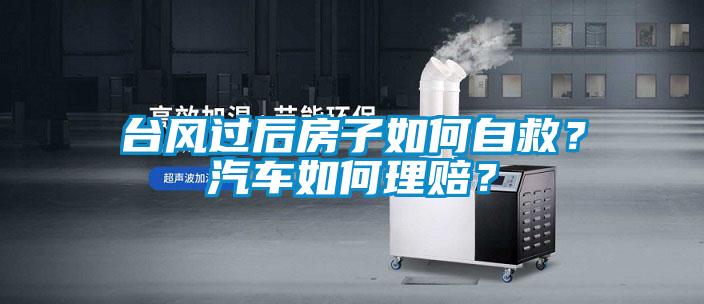 臺風過后房子如何自救？汽車如何理賠？