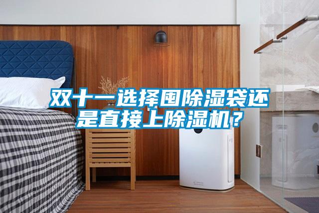 雙十一選擇囤除濕袋還是直接上除濕機？