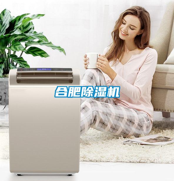合肥除濕機(jī)