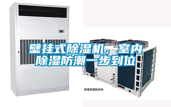 壁掛式除濕機(jī)，室內(nèi)除濕防潮一步到位