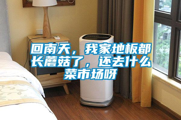 回南天，我家地板都長(zhǎng)蘑菇了，還去什么菜市場(chǎng)呀