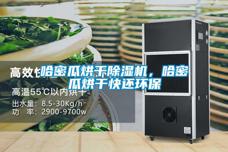 哈密瓜烘干除濕機(jī),哈密瓜烘干快還環(huán)保