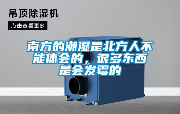 南方的潮濕是北方人不能體會的，很多東西是會發(fā)霉的