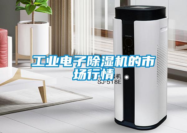 工業(yè)電子除濕機的市場行情