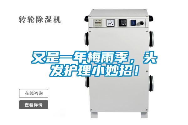 又是一年梅雨季，頭發(fā)護理小妙招！