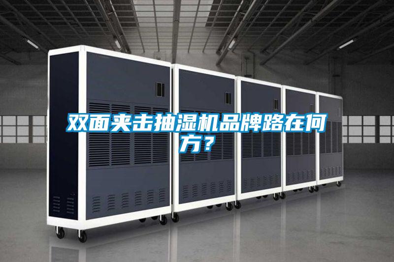 雙面夾擊抽濕機品牌路在何方？