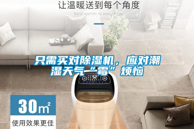 只需買對除濕機(jī)，應(yīng)對潮濕天氣“霉”煩惱