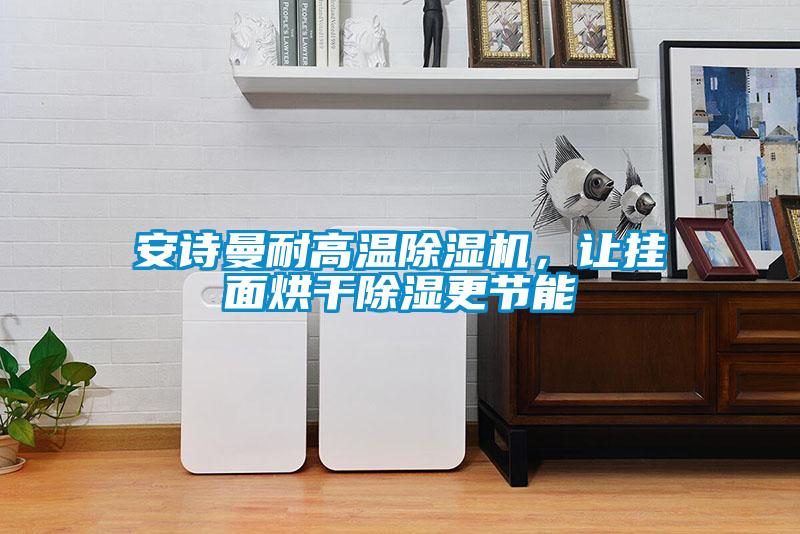 安詩(shī)曼耐高溫除濕機(jī)，讓掛面烘干除濕更節(jié)能