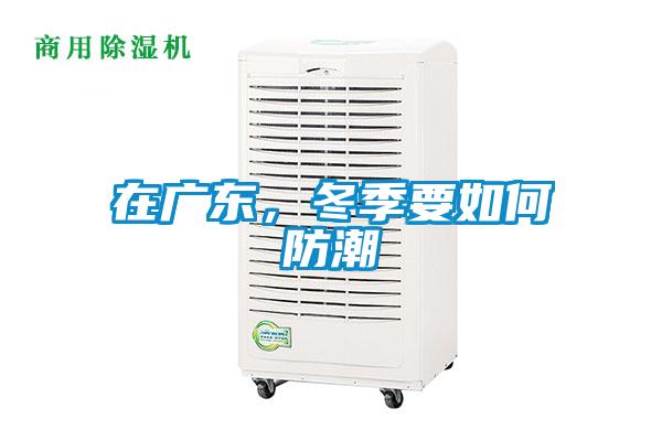 在廣東，冬季要如何防潮