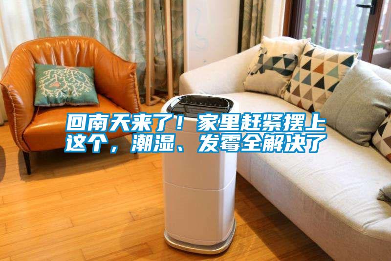 回南天來(lái)了！家里趕緊擺上這個(gè)，潮濕、發(fā)霉全解決了