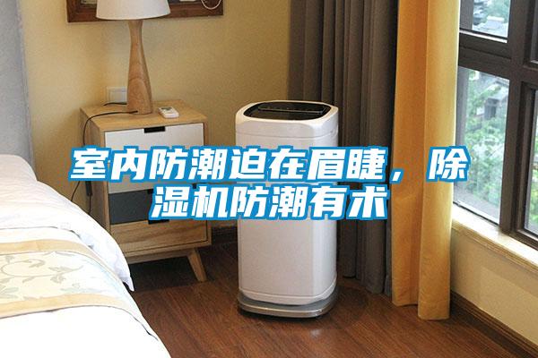 室內(nèi)防潮迫在眉睫，除濕機(jī)防潮有術(shù)