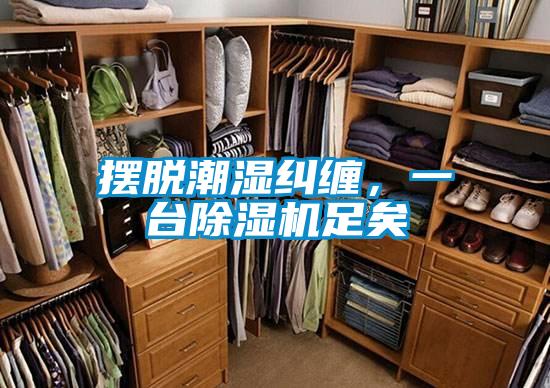 擺脫潮濕糾纏，一臺(tái)除濕機(jī)足矣