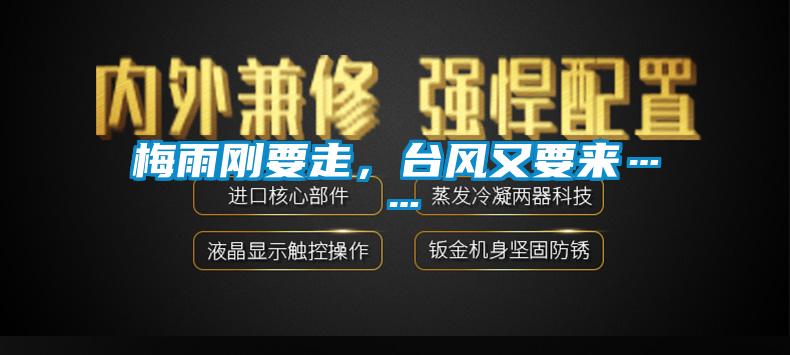 梅雨剛要走，臺(tái)風(fēng)又要來……