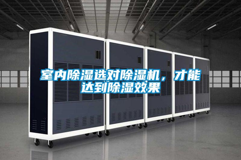 室內(nèi)除濕選對(duì)除濕機(jī)，才能達(dá)到除濕效果