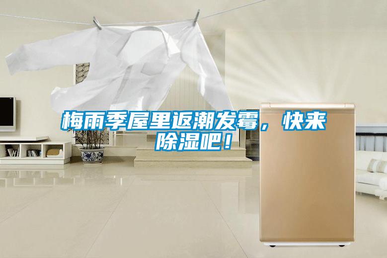 梅雨季屋里返潮發(fā)霉，快來除濕吧！