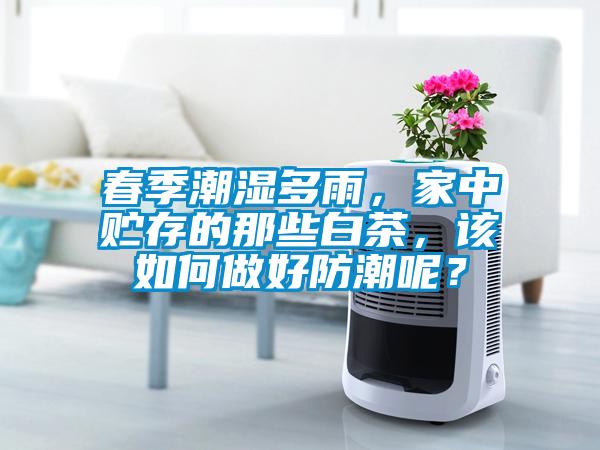 春季潮濕多雨，家中貯存的那些白茶，該如何做好防潮呢？