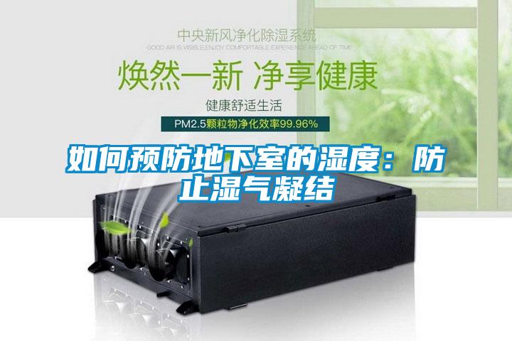 如何預(yù)防地下室的濕度:防止?jié)駳饽Y(jié)