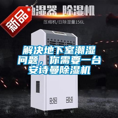 解決地下室潮濕問題，你需要一臺安詩曼除濕機