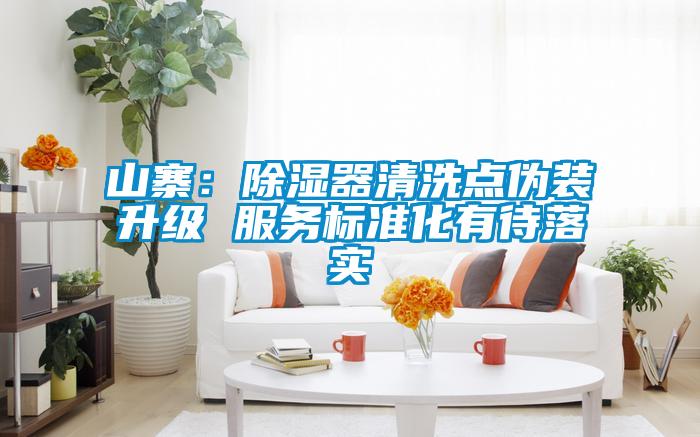 山寨:除濕器清洗點偽裝升級 服務(wù)標(biāo)準(zhǔn)化有待落實