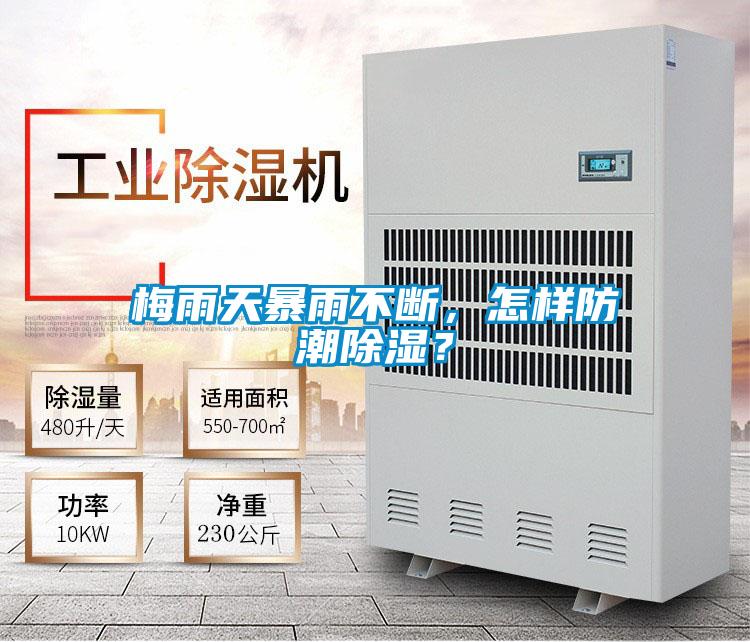 梅雨天暴雨不斷，怎樣防潮除濕？