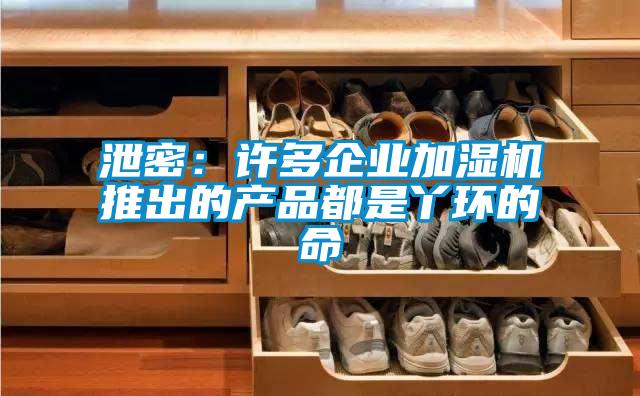 泄密：許多企業(yè)加濕機推出的產(chǎn)品都是丫環(huán)的命