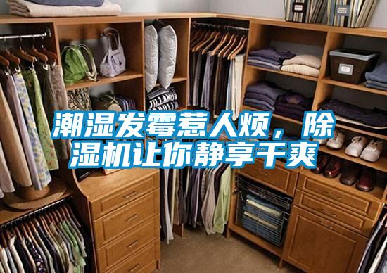 潮濕發(fā)霉惹人煩，除濕機(jī)讓你靜享干爽