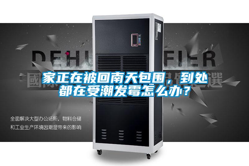 家正在被回南天包圍，到處都在受潮發(fā)霉怎么辦？