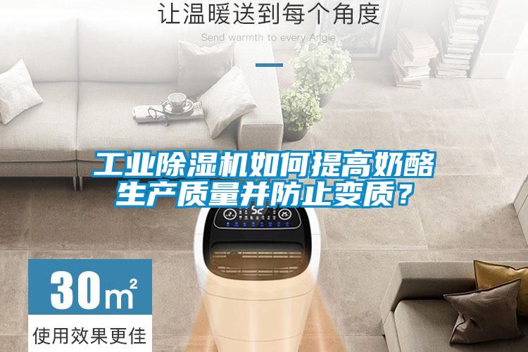 工業(yè)除濕機(jī)如何提高奶酪生產(chǎn)質(zhì)量并防止變質(zhì)？