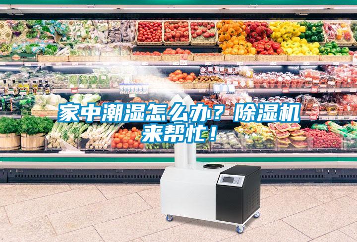 家中潮濕怎么辦？除濕機(jī)來(lái)幫忙！