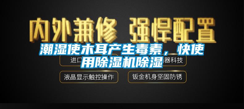 潮濕使木耳產(chǎn)生毒素,快使用除濕機(jī)除濕
