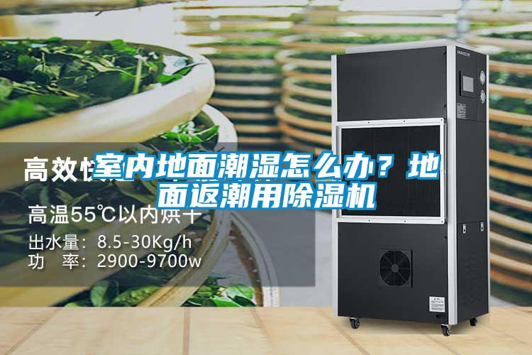 室內(nèi)地面潮濕怎么辦？地面返潮用除濕機